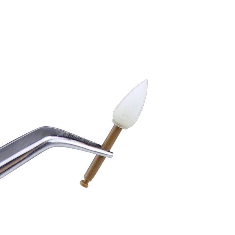 Hệ thống mũi đánh bóng composite hoàn thiện Dentpark P7 1.0 – hình 3