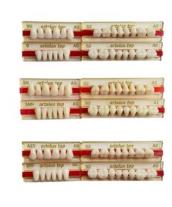 Răng nhựa 2 lớp Ortolux Top – Unidesa