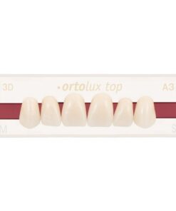 Răng nhựa 2 lớp Ortolux Top – Unidesa – hình 2