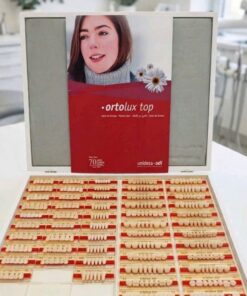 Răng nhựa 2 lớp Ortolux Top – Unidesa – hình 3