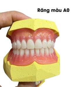 Răng nhựa 2 lớp Ortolux Top – Unidesa – hình 6