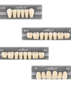 Răng nhựa 3 lớp Odipal – Unidesa