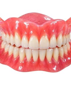 Răng nhựa 3 lớp Odipal – Unidesa – hình 4