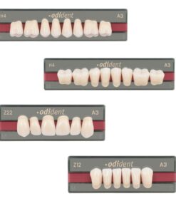 Răng nhựa 4 lớp Odident – Unidesa