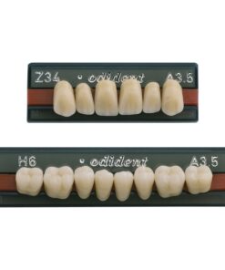 Răng nhựa 4 lớp Odident – Unidesa – hình 2